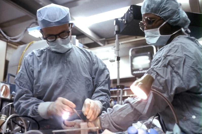 Sterile, single-use surgical instruments laid out for inspection
